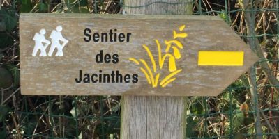 sentier des jacinthes
